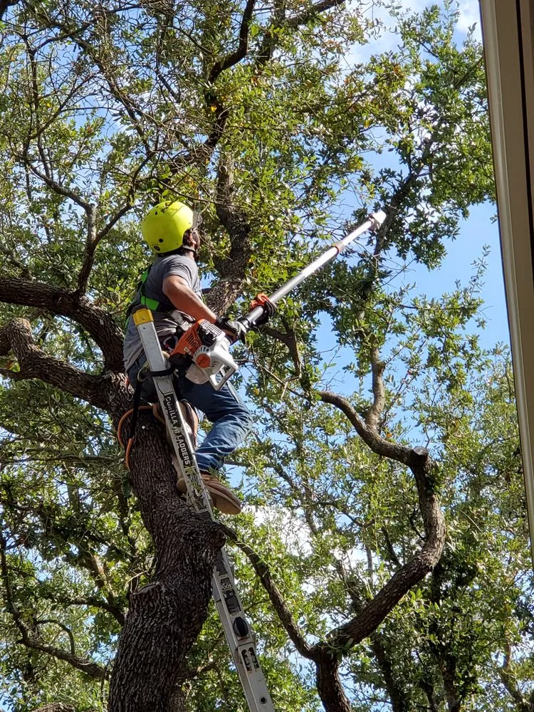 Reliable yard cleanup service for year-round maintenance across Cedar Park, TX - Ortega & Son