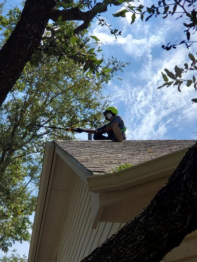 Trusted residential landscaping for year-round maintenance in Cedar Park, TX by Ortega & Son