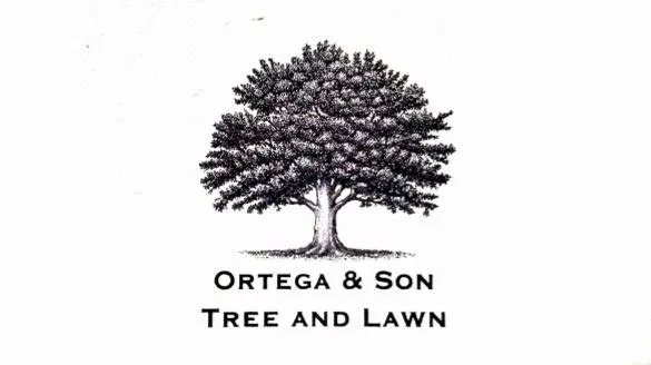 Ortega & Son Logo