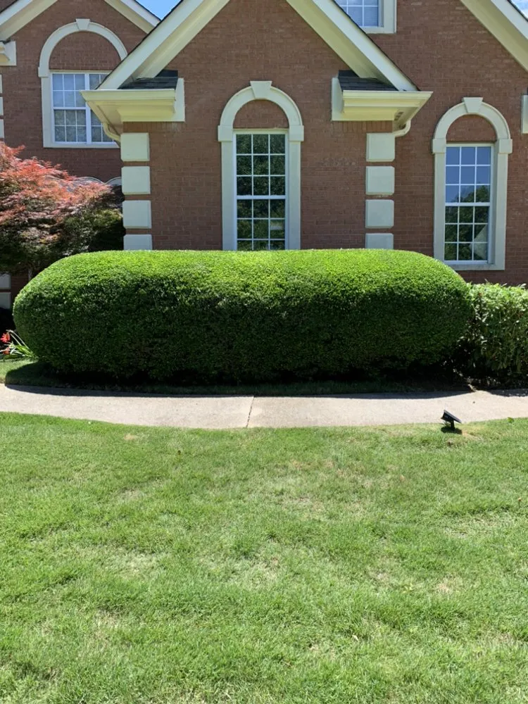 Professional landscape design in Jonesboro, GA - Ortega Landscape