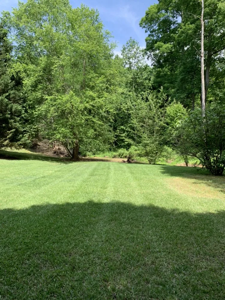 Expert lawn care service in Jonesboro, GA by Ortega Landscape