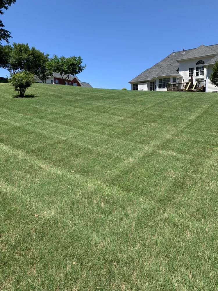 Reliable landscape design in Jonesboro, GA by Ortega Landscape