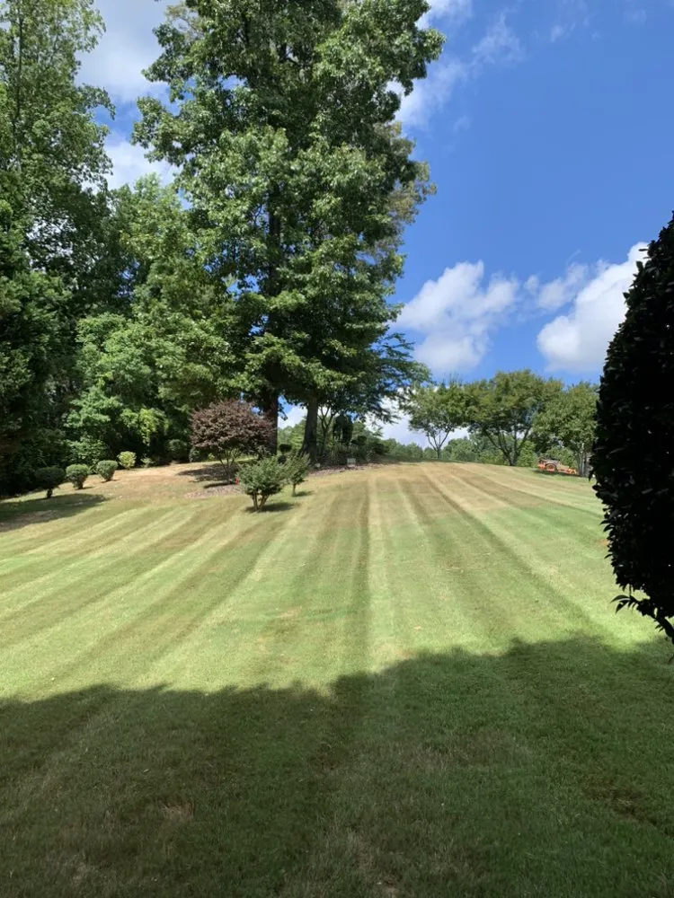 Top-rated lawn mowing service in Jonesboro, GA by Ortega Landscape
