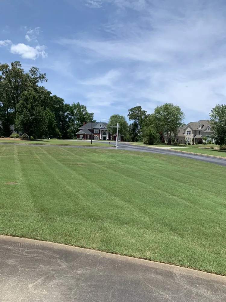 Top-rated landscaping services near you in Jonesboro, GA by Ortega Landscape