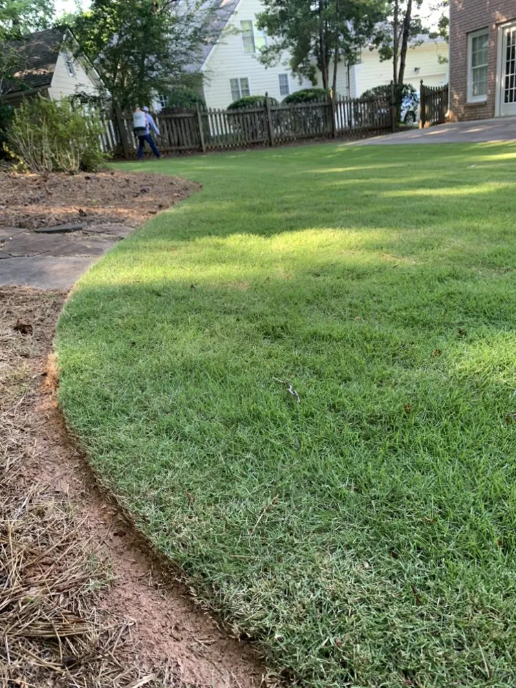 Local yard cleanup service experts serving Jonesboro, GA - Ortega Landscape