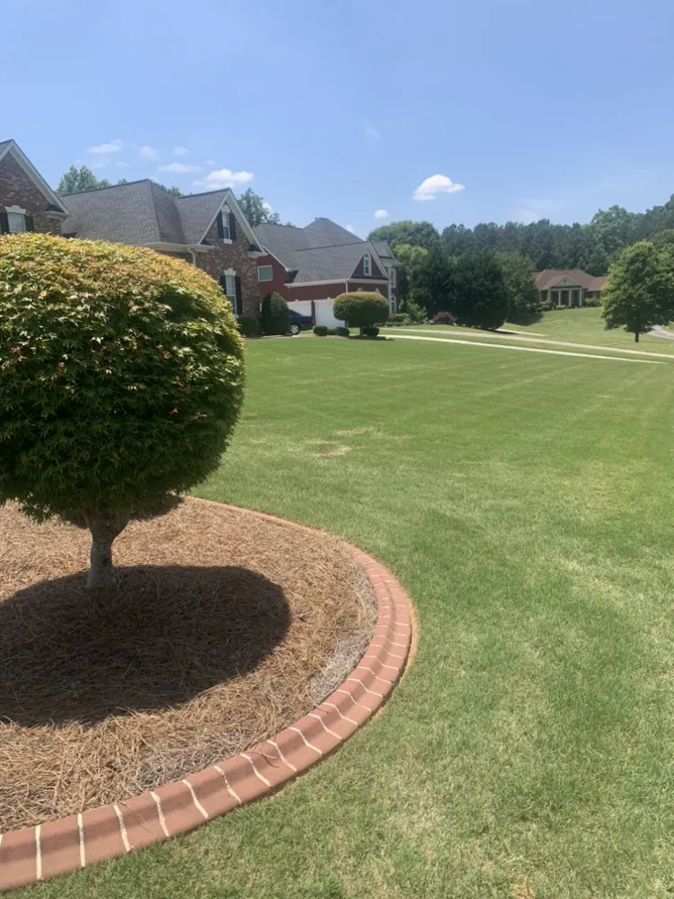 Affordable lawn care service for residential properties across Jonesboro, GA - Ortega Landscape