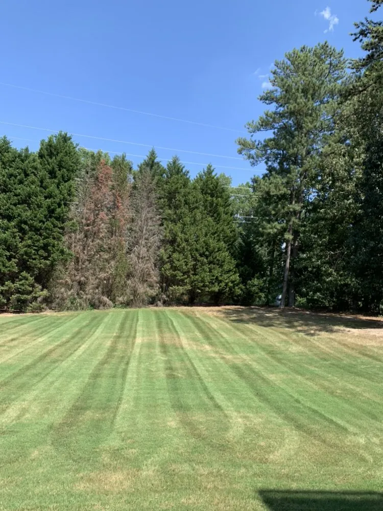 Reliable outdoor landscaping in Jonesboro, GA by Ortega Landscape