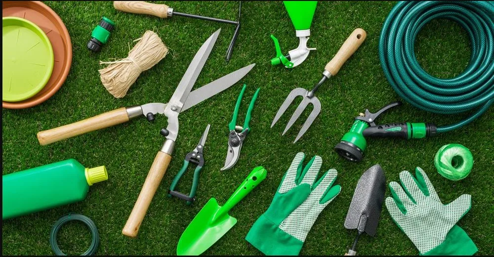 Top-rated yard cleanup service in Mesa, AZ by Ortega Landscape