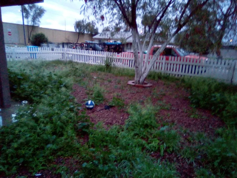 Trusted residential landscaping experts serving Mesa, AZ - Ortega Landscape