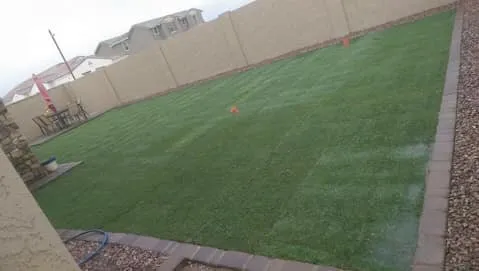 Local residential landscaping for homes in Mesa, AZ by Ortega Landscape