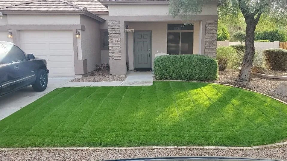 Trusted landscaping services with custom design across Mesa, AZ - Ortega Landscape