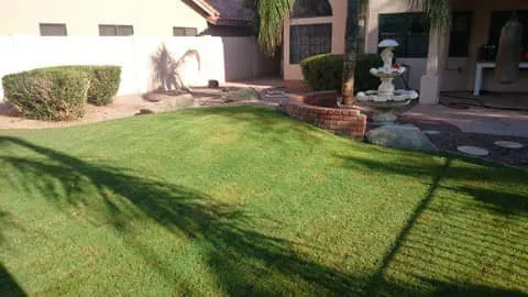 Trusted residential landscaping in Mesa, AZ by Ortega Landscape