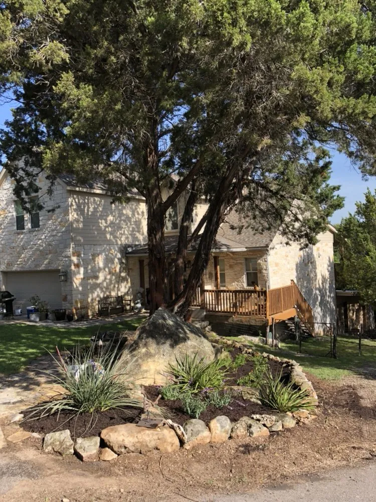 Local landscape installation for year-round maintenance in Austin, TX by Ortega Landscapes