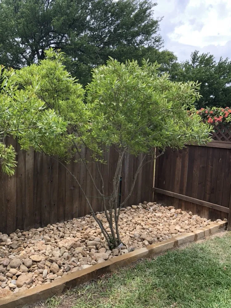 Professional lawn mowing service for homes across Austin, TX - Ortega Landscapes