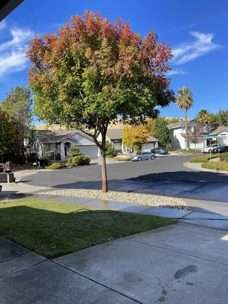 Custom landscape design with custom design in Fairfield, CA by Ortega Landscaping