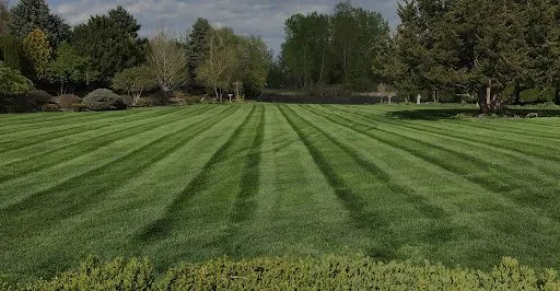 Reliable landscape design experts serving Stoughton, WI - Ortega Landscaping