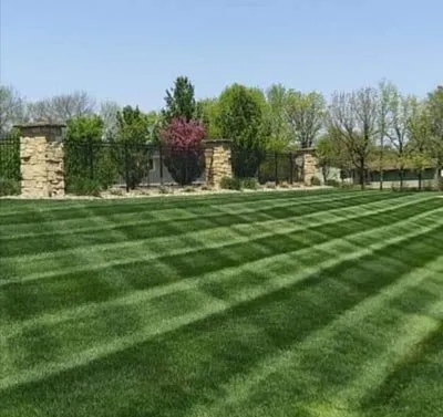 Expert lawn care service in Stoughton, WI by Ortega Landscaping