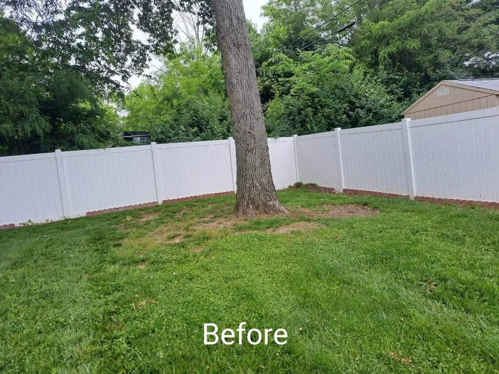 Affordable landscape installation in IL, IL - Ortega Lawncare Services