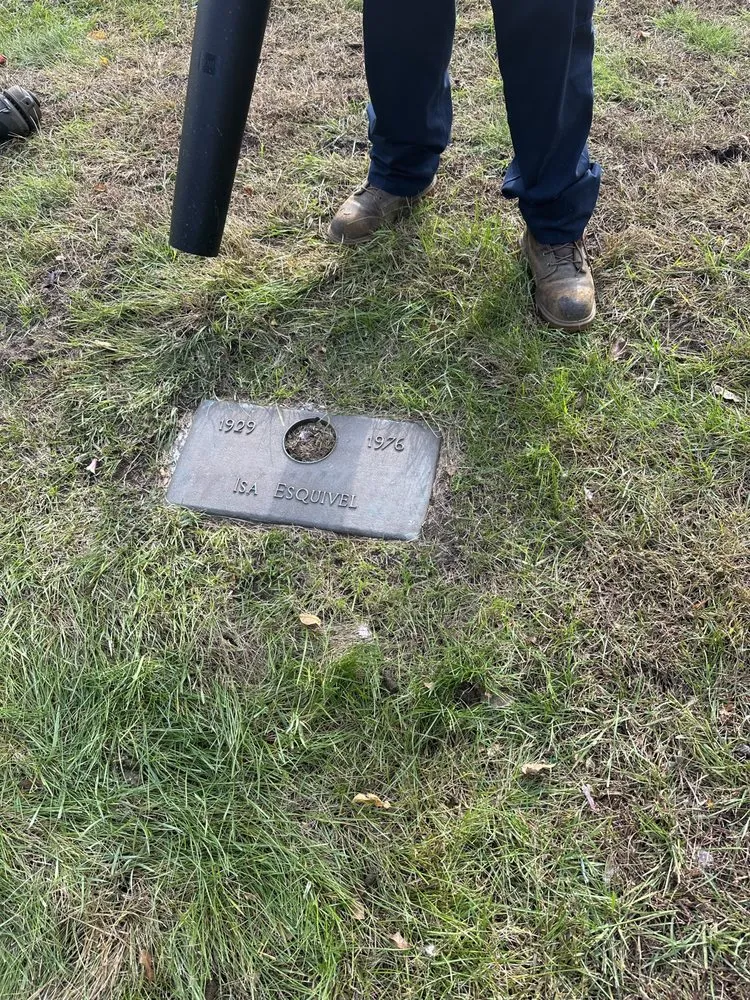 Custom residential landscaping for outdoor upgrades in Chicago, IL by Ortega Maintenance and Service