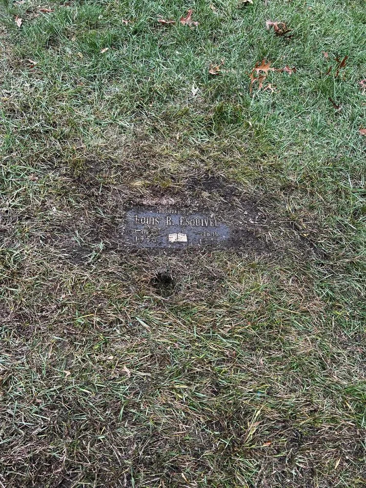 Professional landscape installation near you across Chicago, IL - Ortega Maintenance and Service