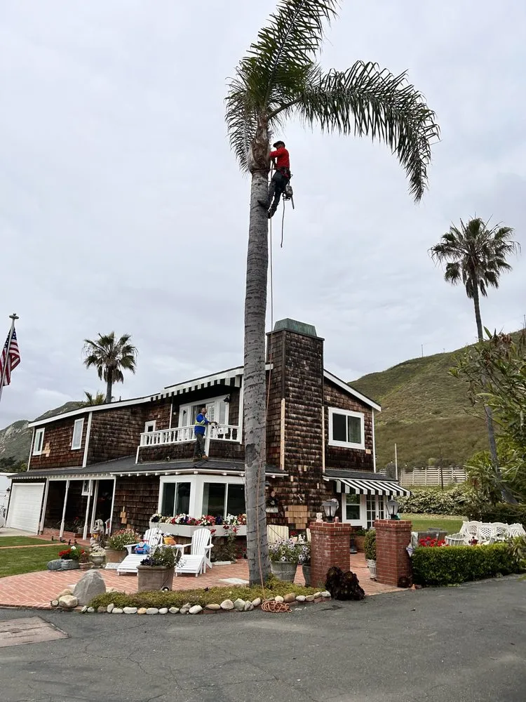 Local residential landscaping in Ojai, CA by Ortega Trees Service & Landscaping