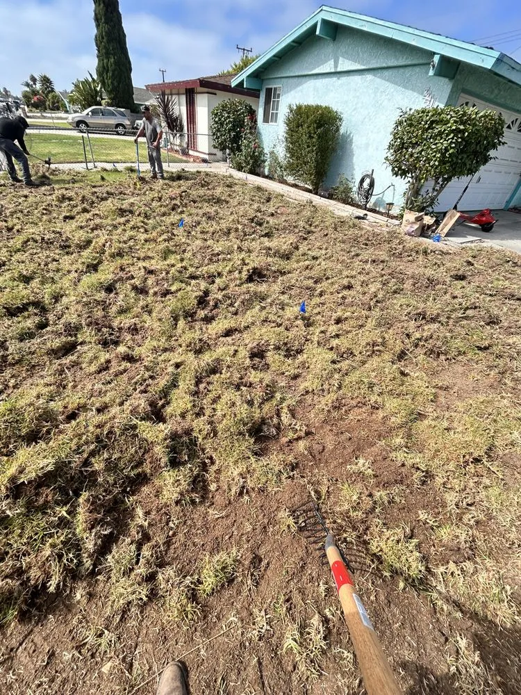 Top-rated landscape installation for outdoor upgrades in Ojai, CA by Ortega Trees Service & Landscaping