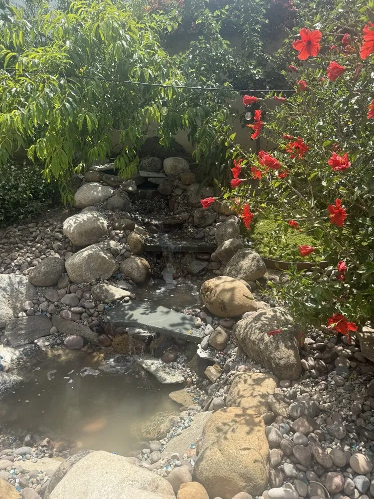 Professional landscape design for residential properties in Ojai, CA by Ortega Trees Service & Landscaping