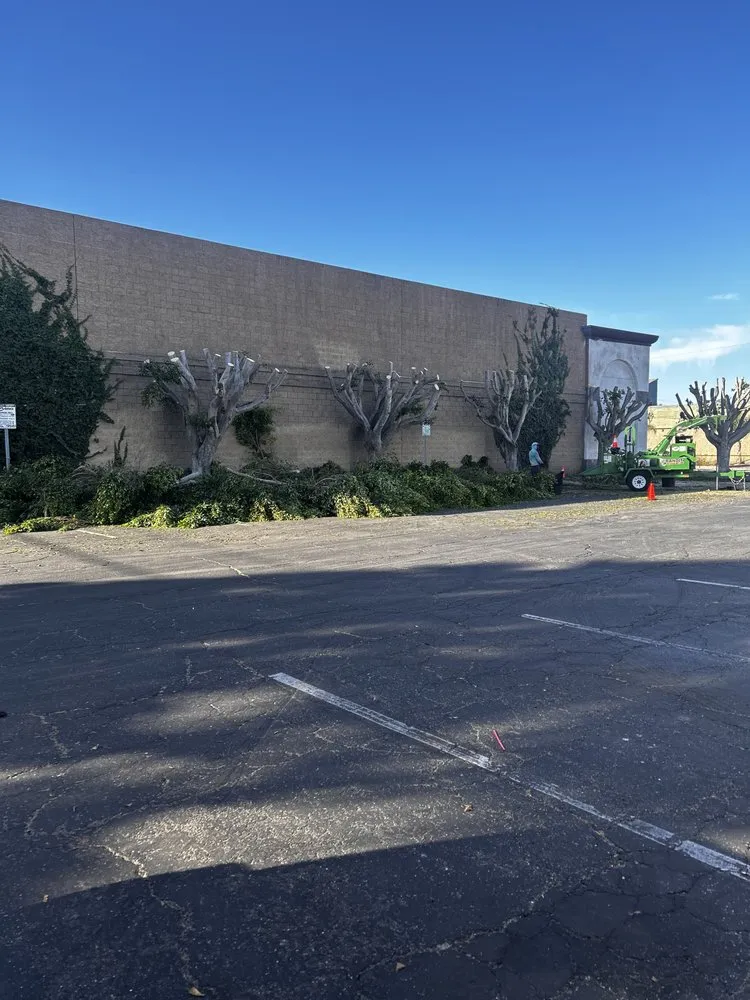 Custom landscape design for homes in Ojai, CA by Ortega Trees Service & Landscaping