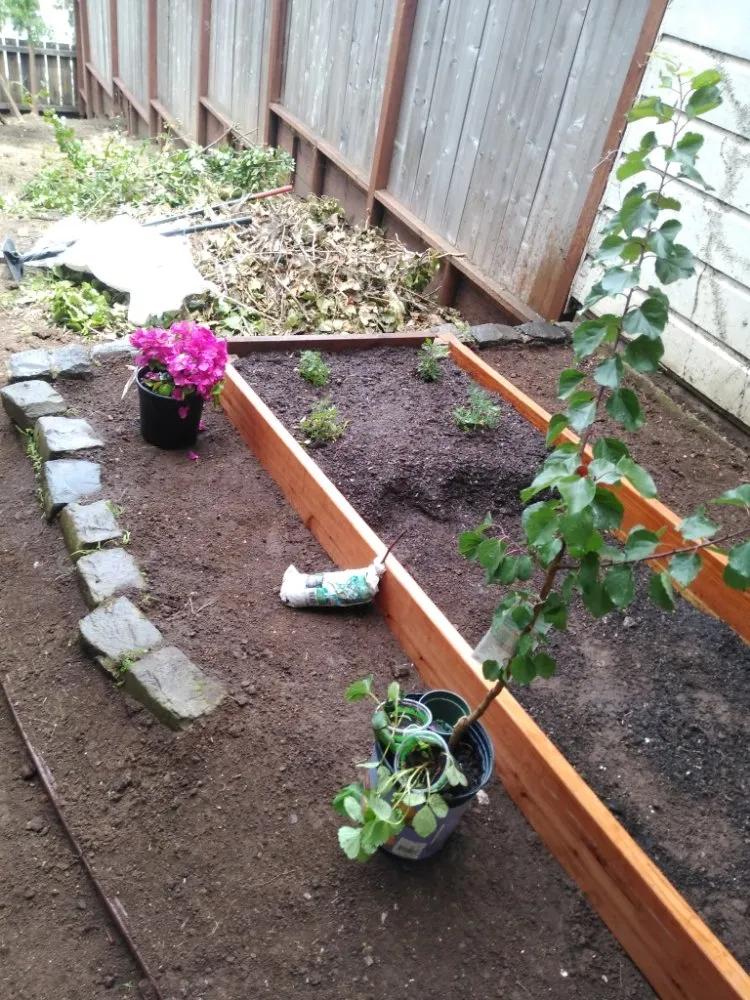 Trusted yard maintenance for homes across South San Francisco, CA - Ortega's Gardening & Landscaping