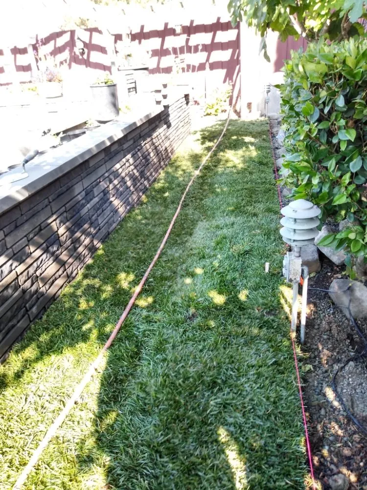 Affordable residential landscaping for residential properties in South San Francisco, CA by Ortega's Gardening & Landscaping