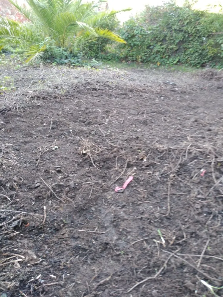 Custom garden landscaping for outdoor upgrades in South San Francisco, CA by Ortega's Gardening & Landscaping