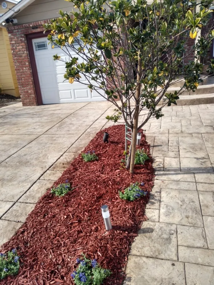 Reliable landscaping services for outdoor upgrades in South San Francisco, CA by Ortega's Gardening & Landscaping