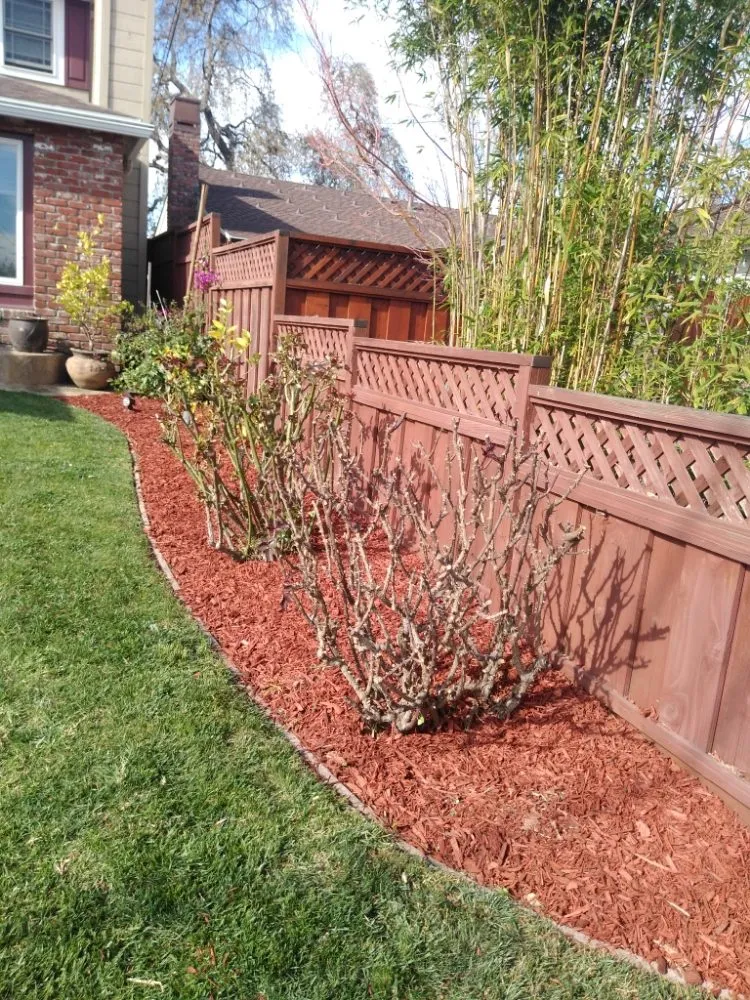 Custom landscaping services experts serving South San Francisco, CA - Ortega's Gardening & Landscaping