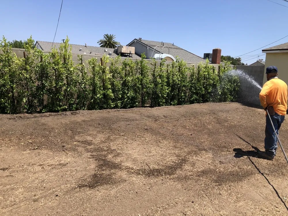 Reliable lawn care service experts serving Pacoima, CA - Ortegas Gardening and Tree Services