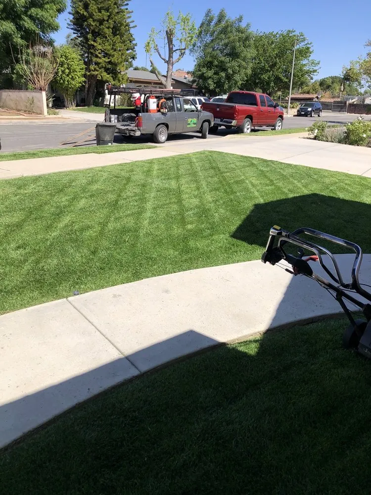 Custom yard cleanup service for residential properties across Pacoima, CA - Ortegas Gardening and Tree Services