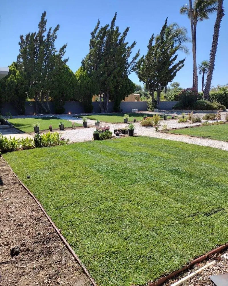 Affordable lawn care service experts serving Pacoima, CA - Ortegas Gardening and Tree Services