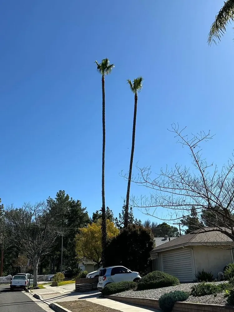 Affordable landscape installation experts serving Pacoima, CA - Ortegas Gardening and Tree Services
