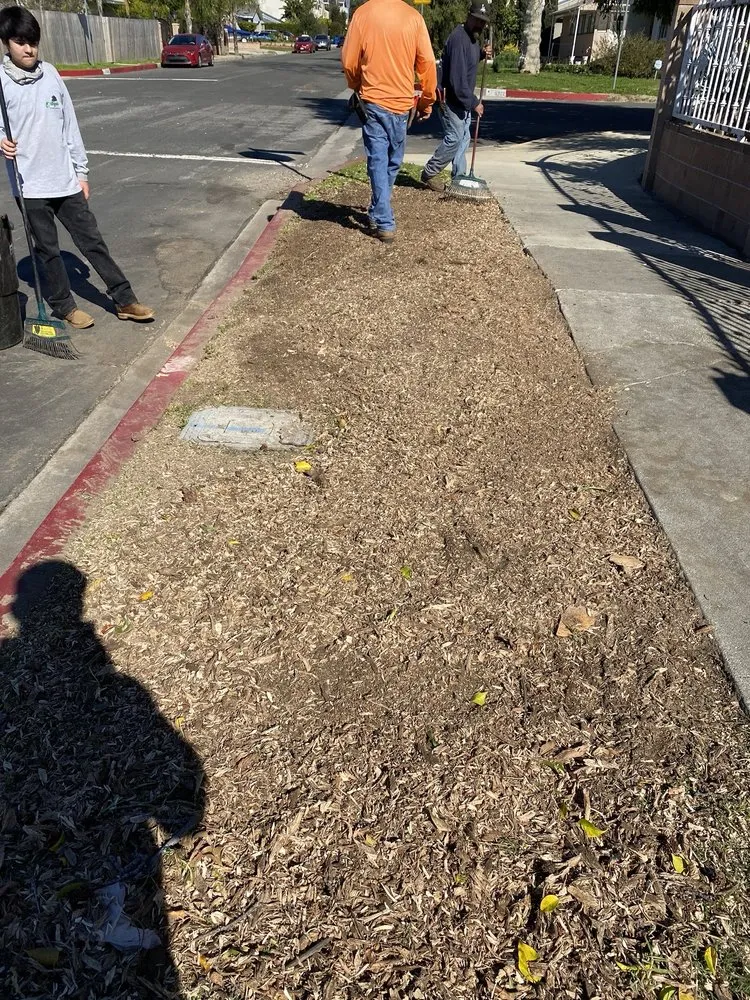 Local residential landscaping for residential properties in Pacoima, CA by Ortegas Gardening and Tree Services