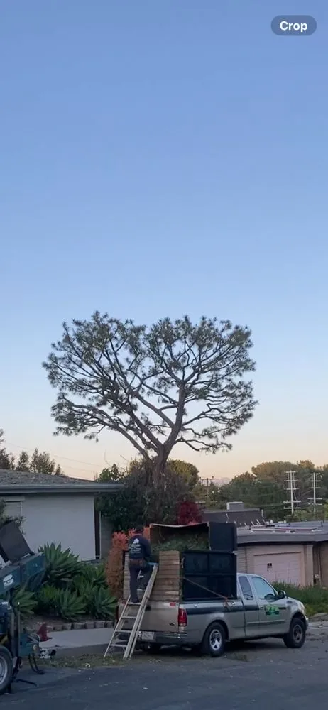 Affordable residential landscaping in Pacoima, CA - Ortegas Gardening and Tree Services