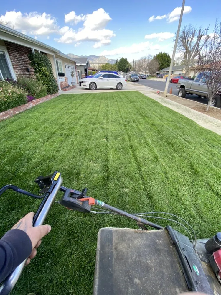 Custom garden landscaping in Pacoima, CA - Ortegas Gardening and Tree Services