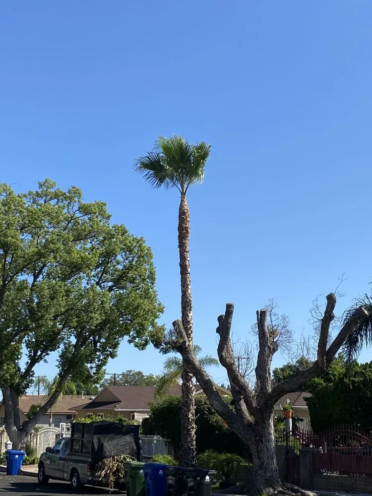 Custom garden landscaping near you across Pacoima, CA - Ortegas Gardening and Tree Services