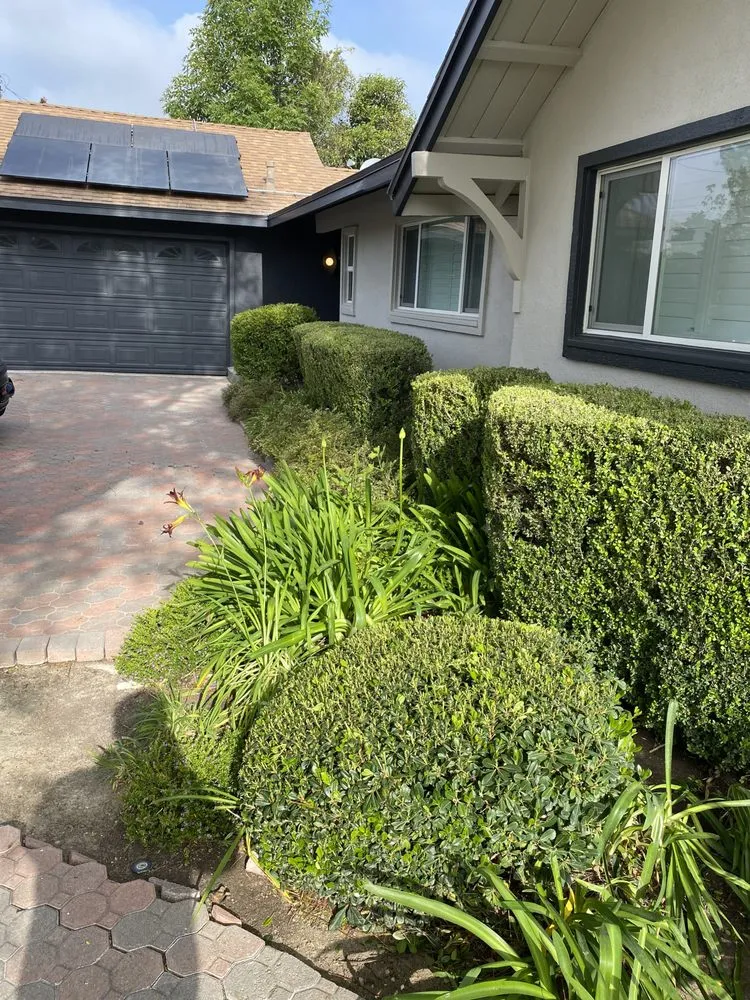 Reliable yard maintenance experts serving Pacoima, CA - Ortegas Gardening and Tree Services