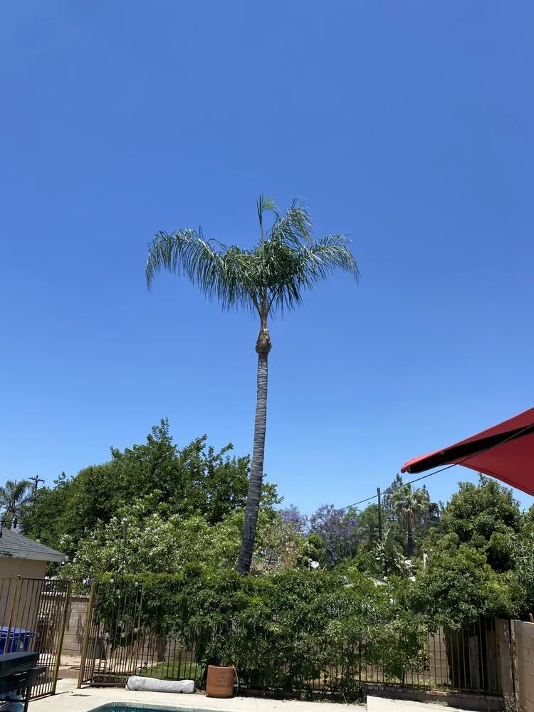 Trusted outdoor landscaping in Pacoima, CA by Ortegas Gardening and Tree Services
