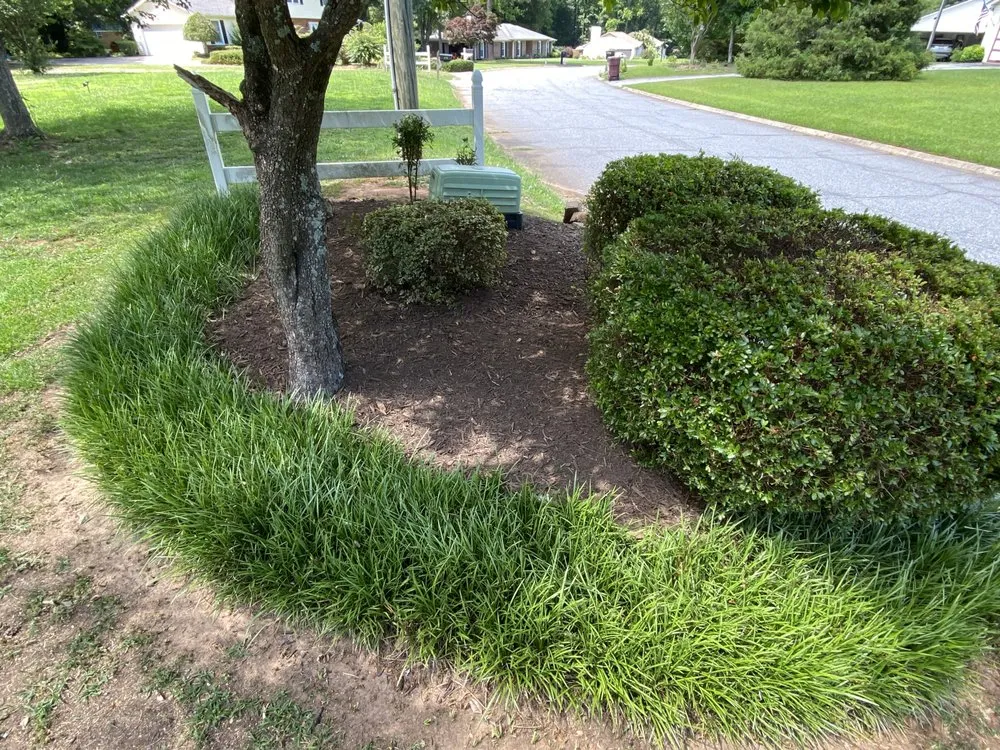 Professional outdoor landscaping for year-round maintenance in Central, SC by Ortega’s Landscaping