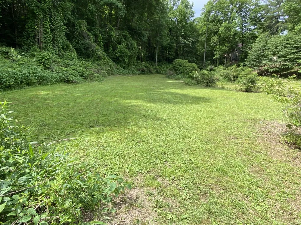 Professional yard maintenance in Central, SC - Ortega’s Landscaping