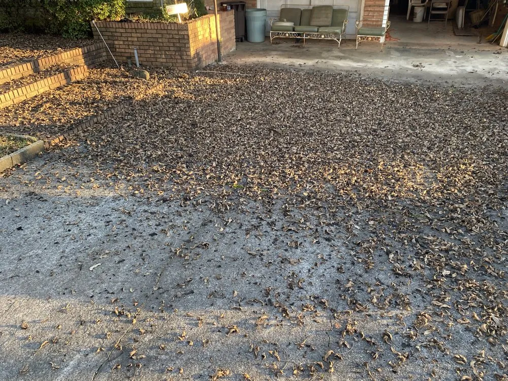 Reliable yard cleanup service with custom design across Central, SC - Ortega’s Landscaping