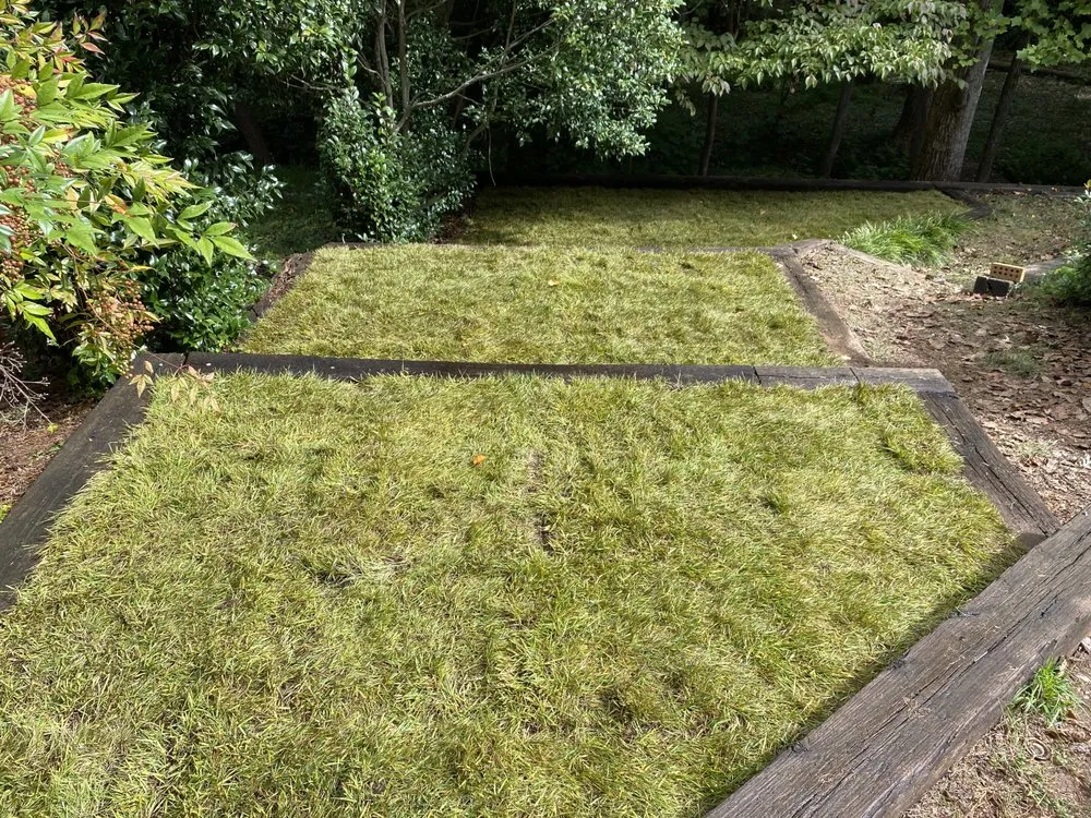 Custom landscape design in Central, SC - Ortega’s Landscaping