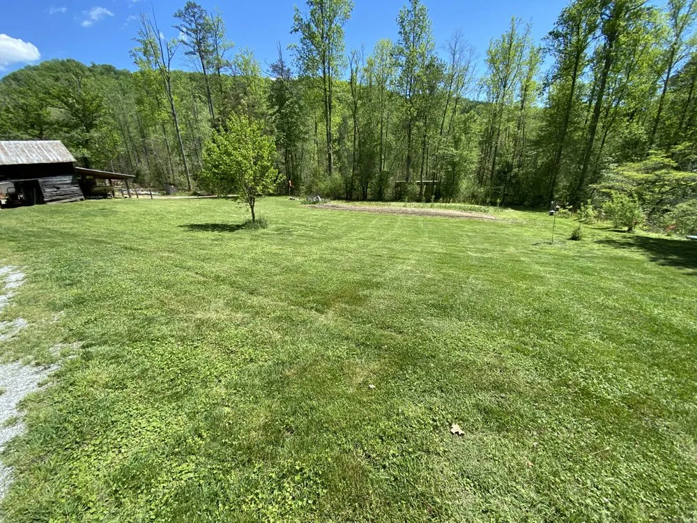 Local landscape design experts serving Central, SC - Ortega’s Landscaping