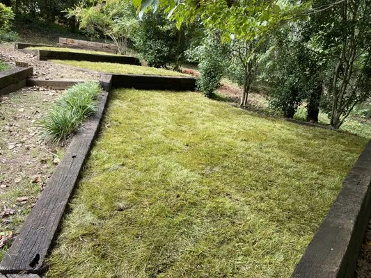 Ortega’s Landscaping Logo