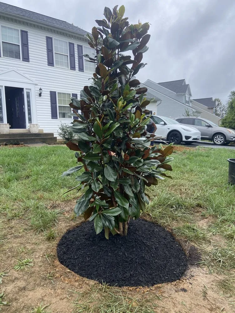 Trusted landscape design in Falls church, VA by Ortega’s Landscaping